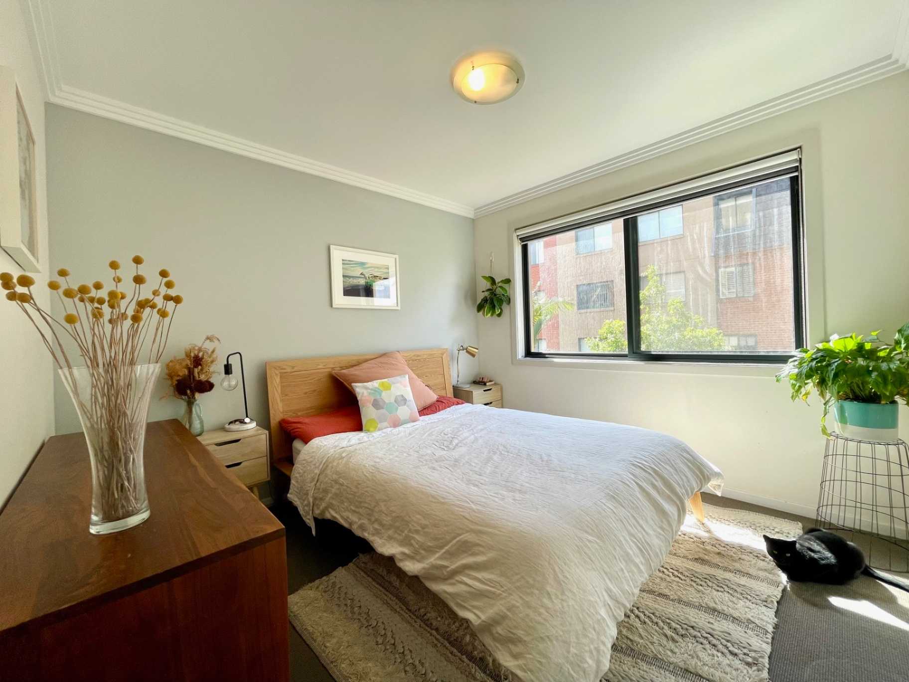 12402-177-219-mitchell-road-erskineville-nsw-2043-11427
