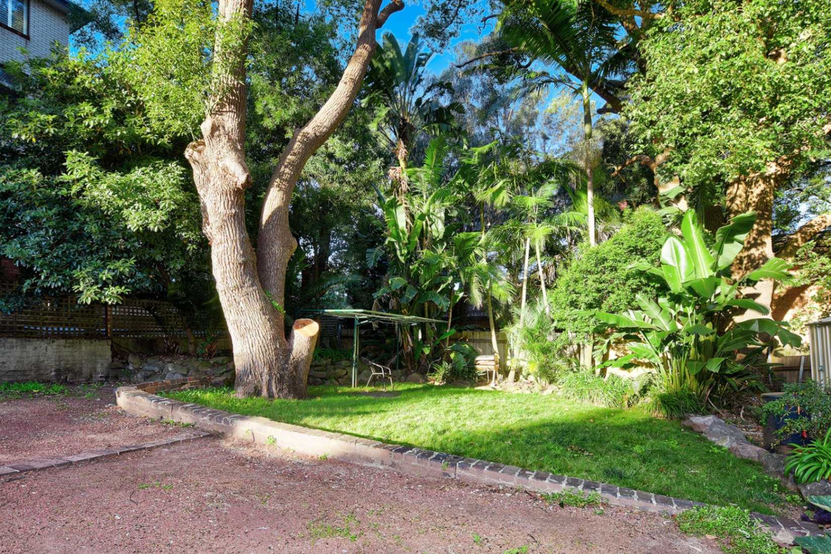 6-17-19-tupper-street-enmore-nsw-2042-11745