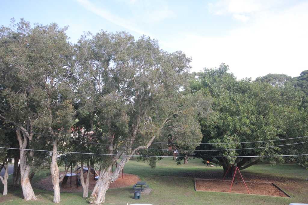 14-62-brown-street-bronte-nsw-2024-1536