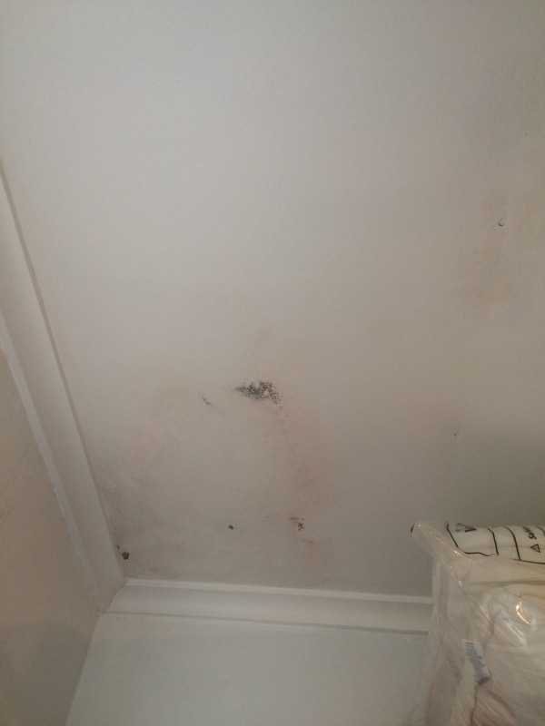 2-19-cambridge-street-enmore-nsw-2042-2409
