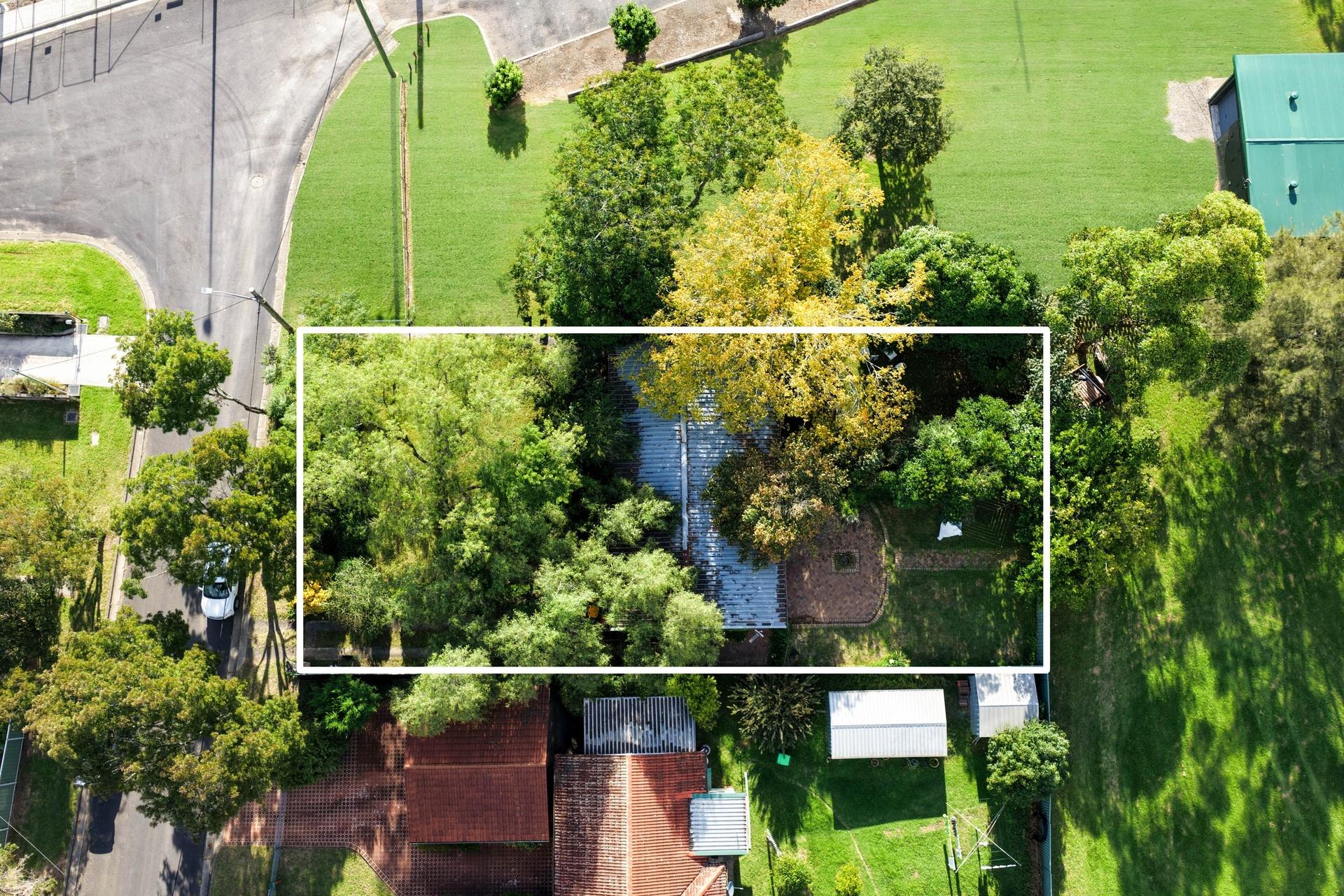 Slide Image