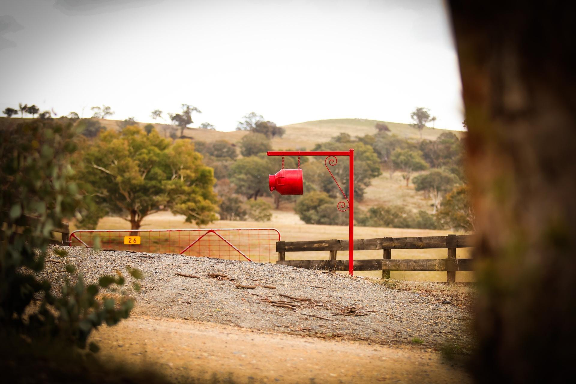 Slide Image