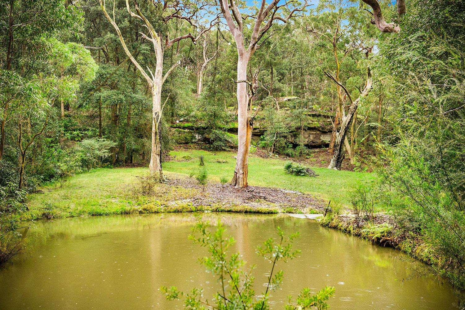 Slide Image