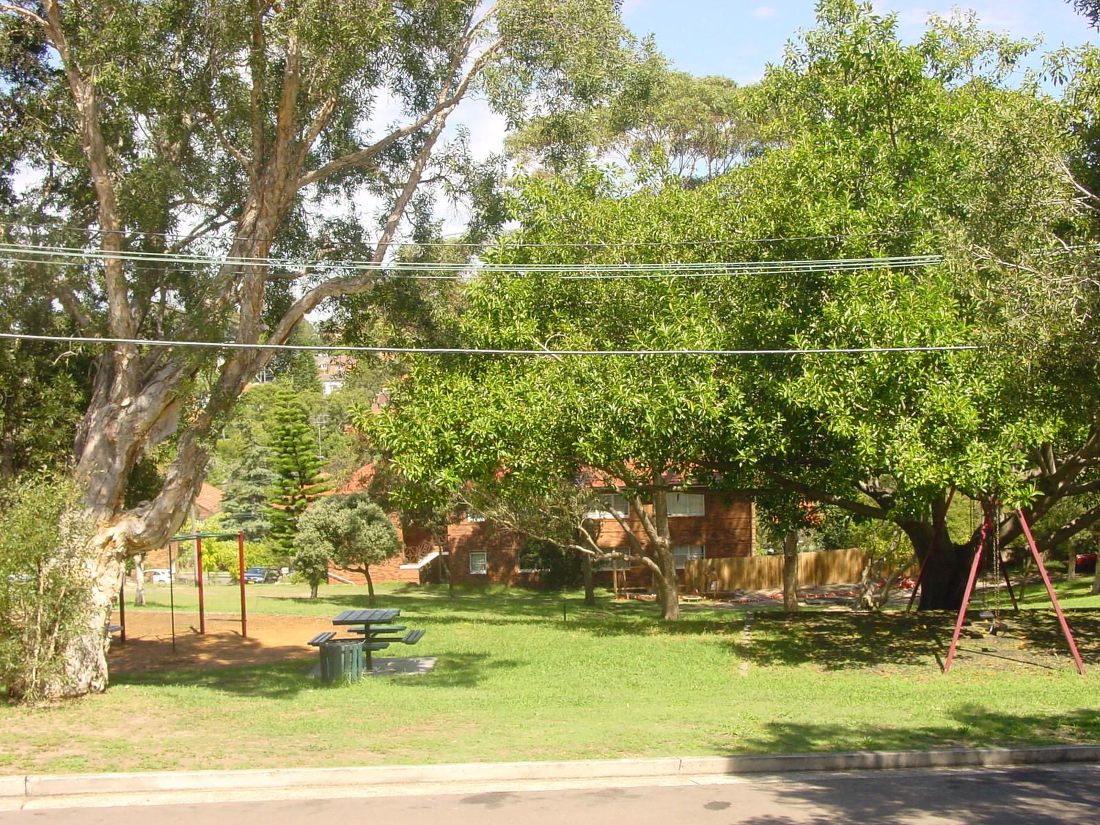 Slide Image