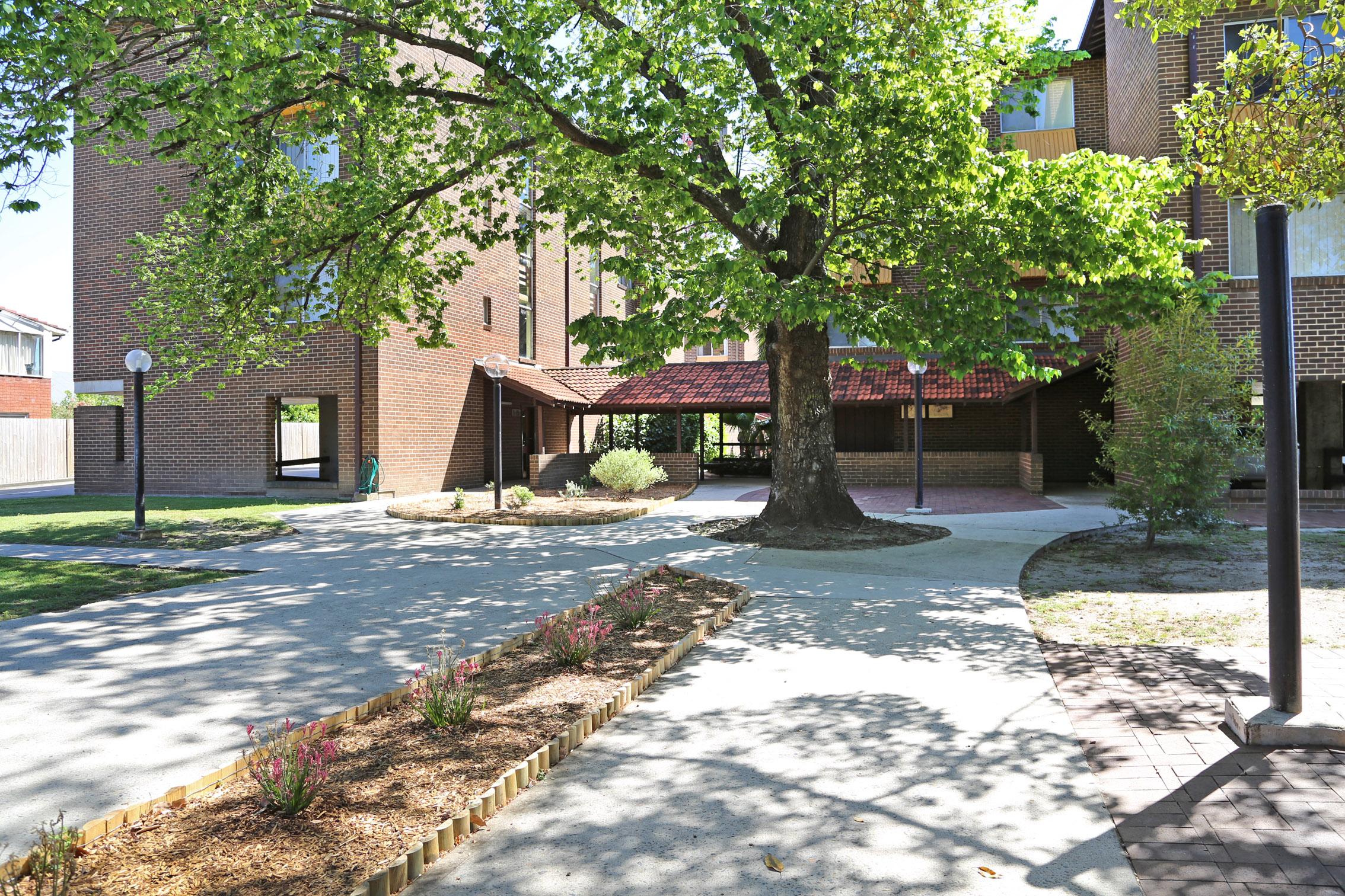 Slide Image