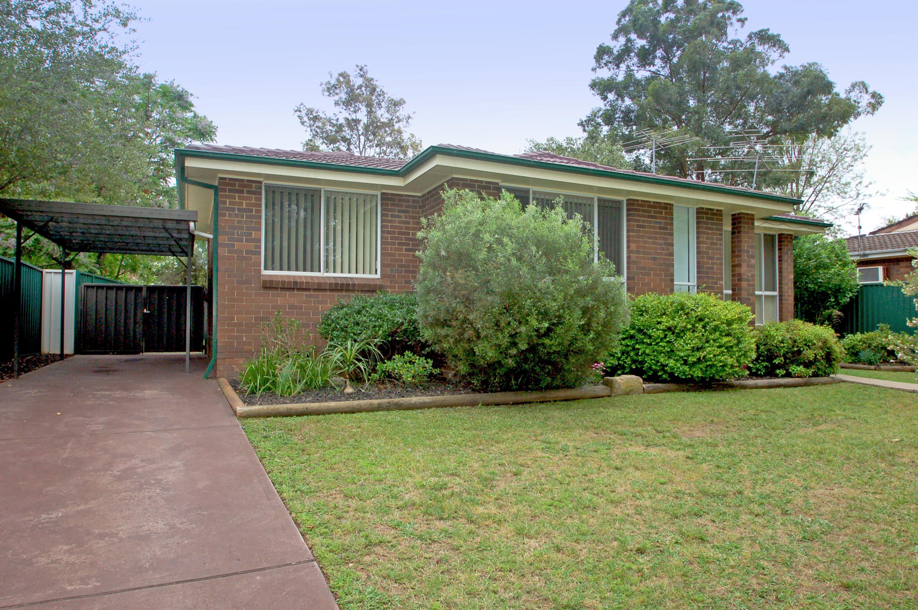 Slide Image