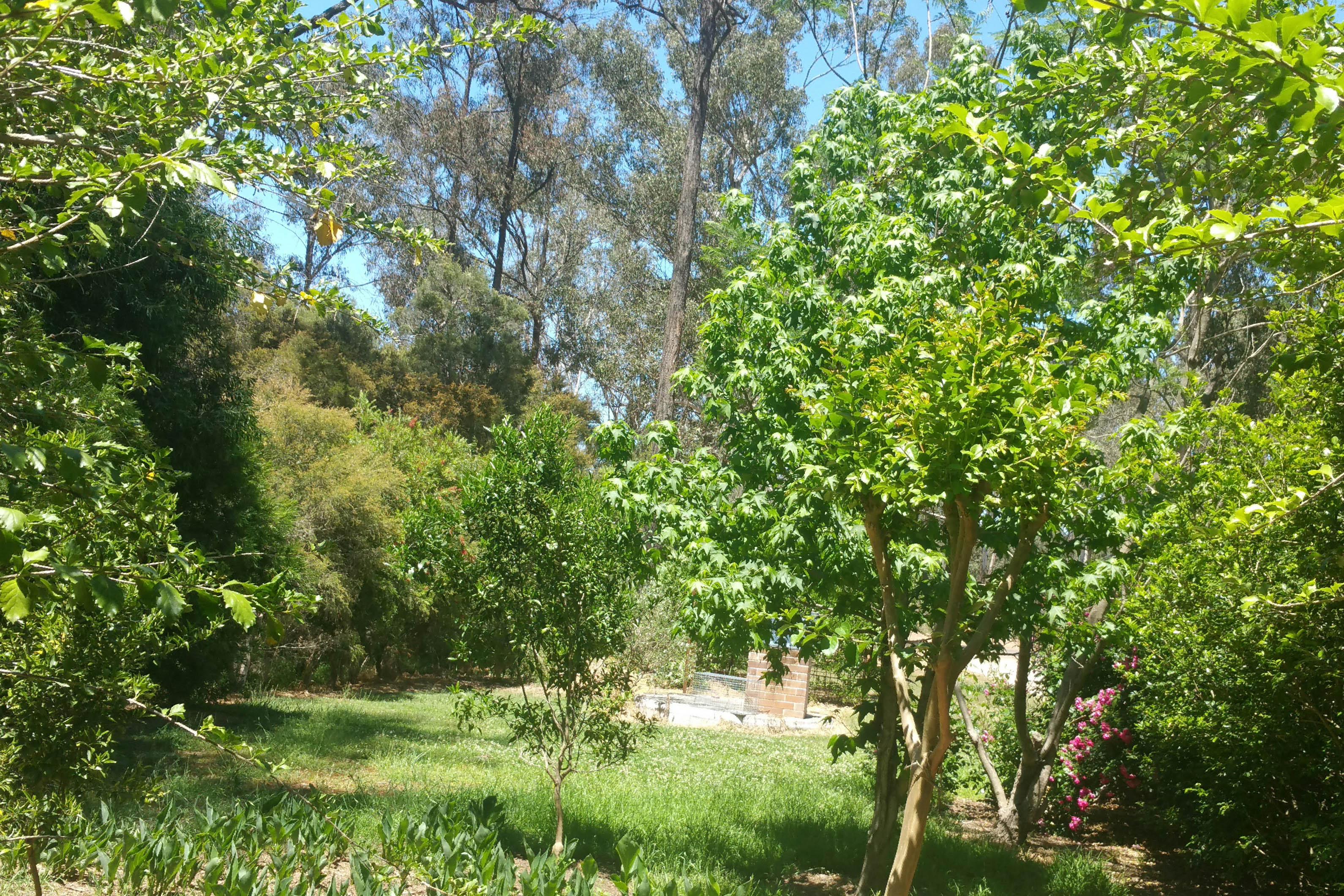 Slide Image