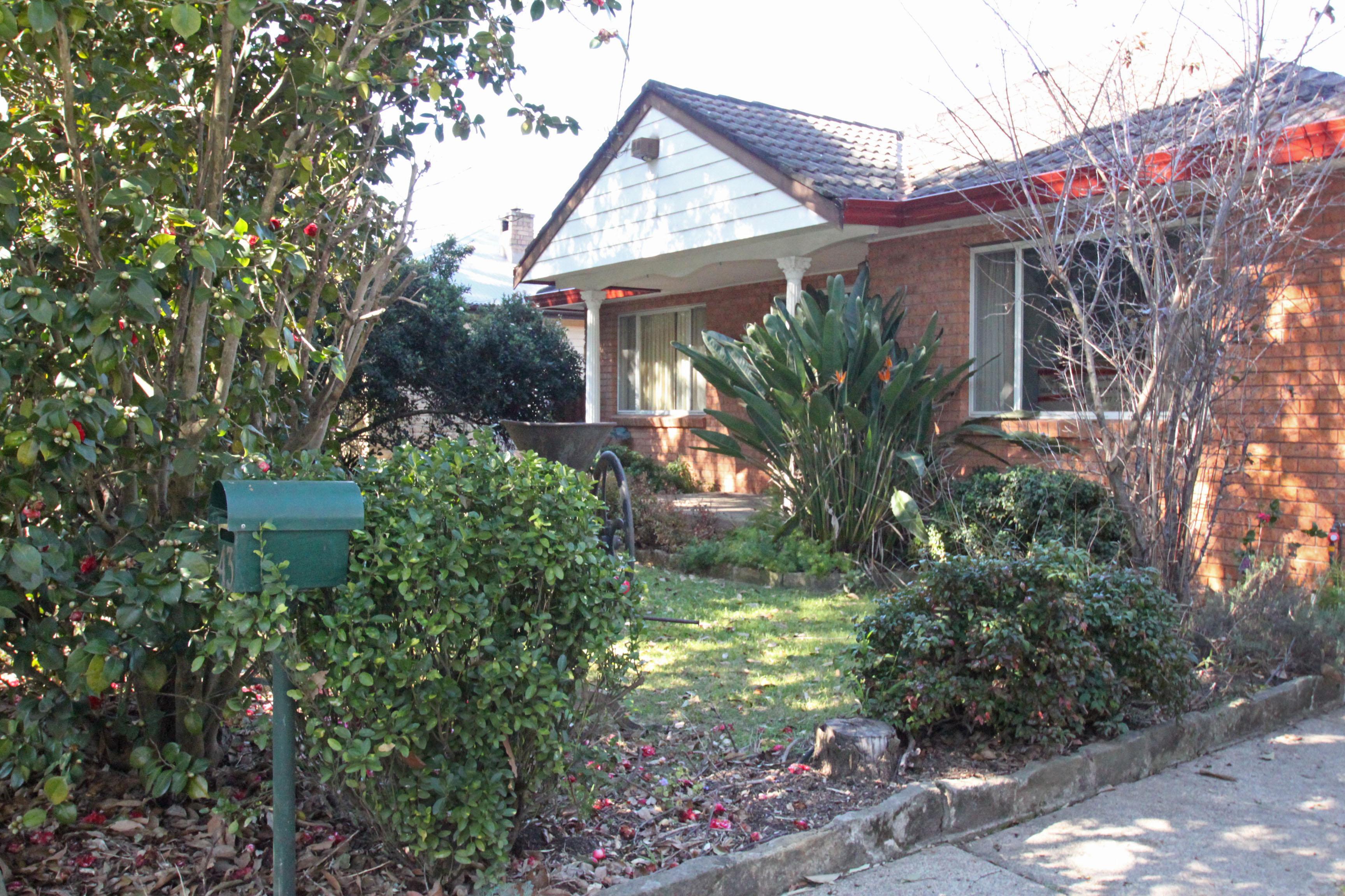Slide Image