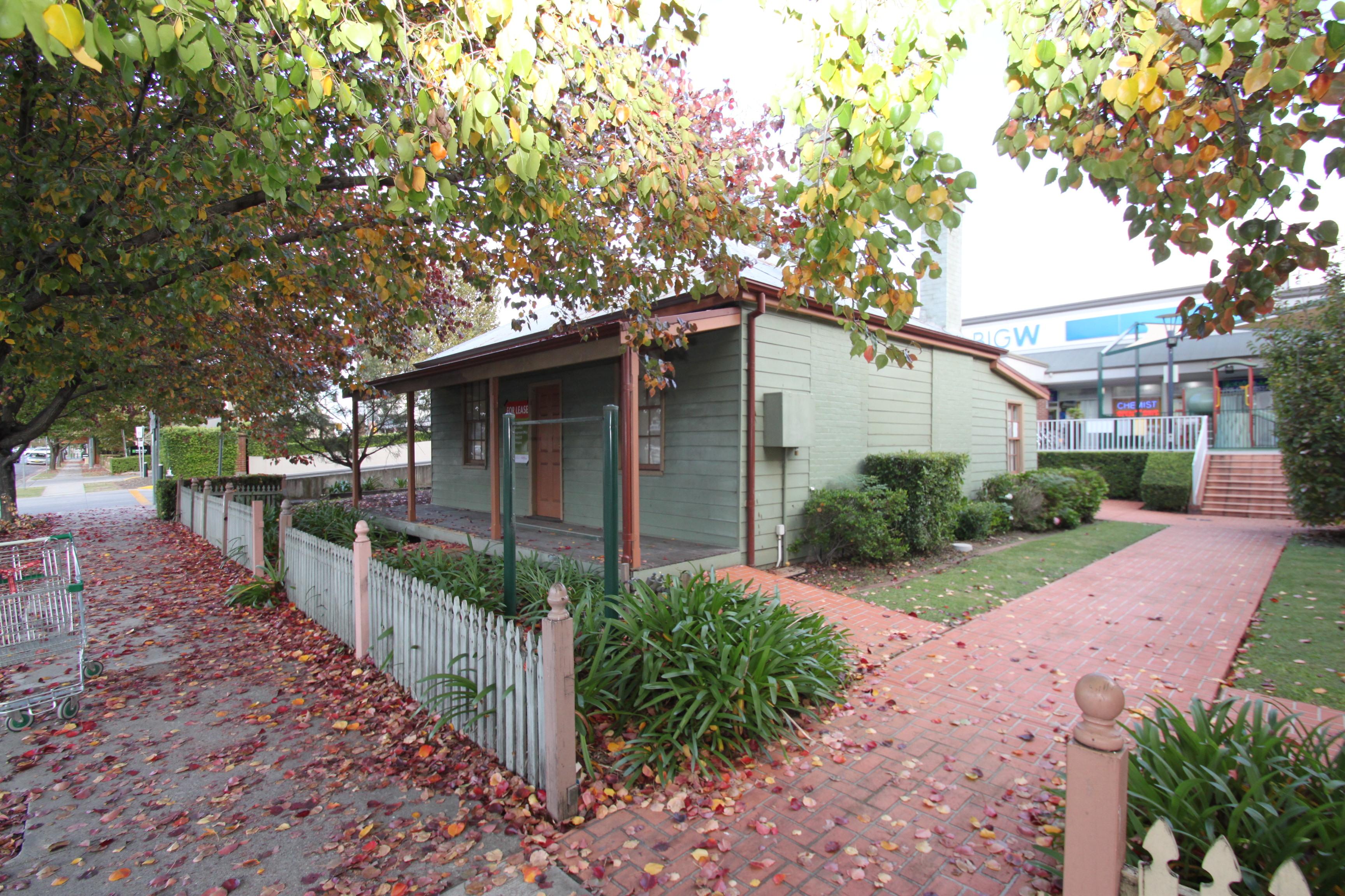 Slide Image
