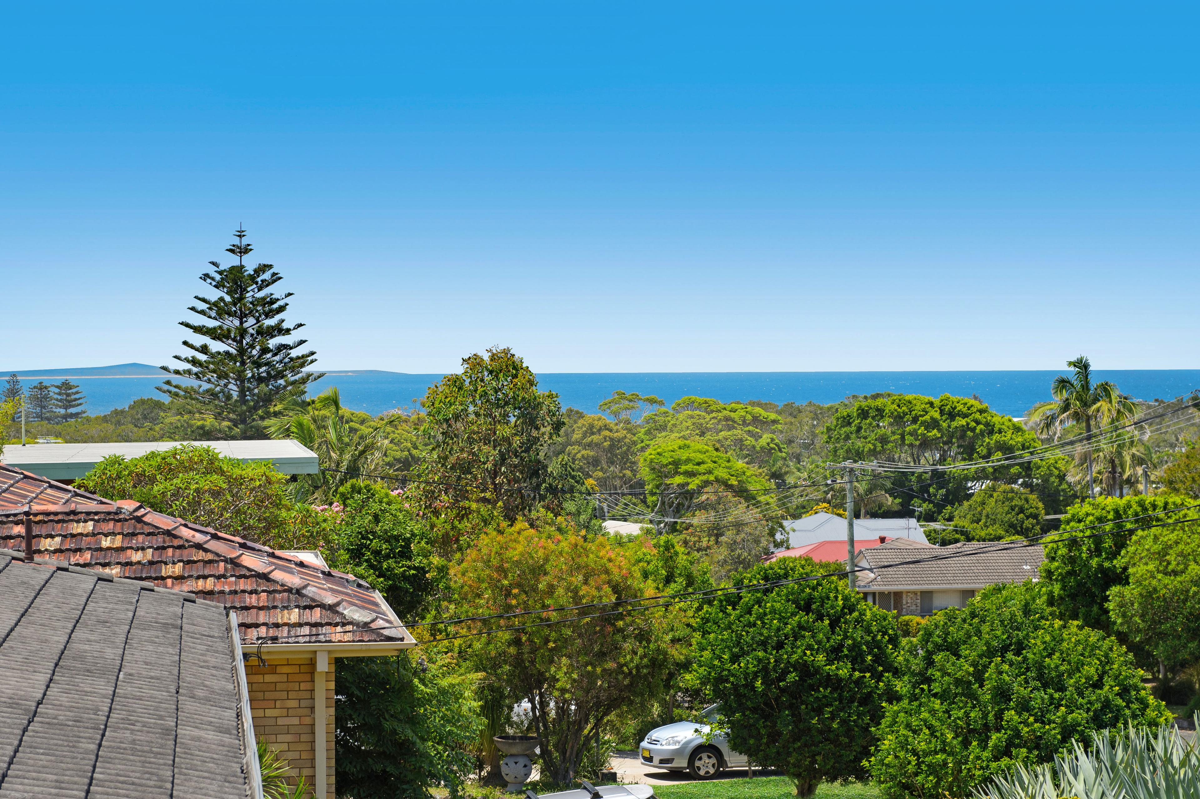 Slide Image