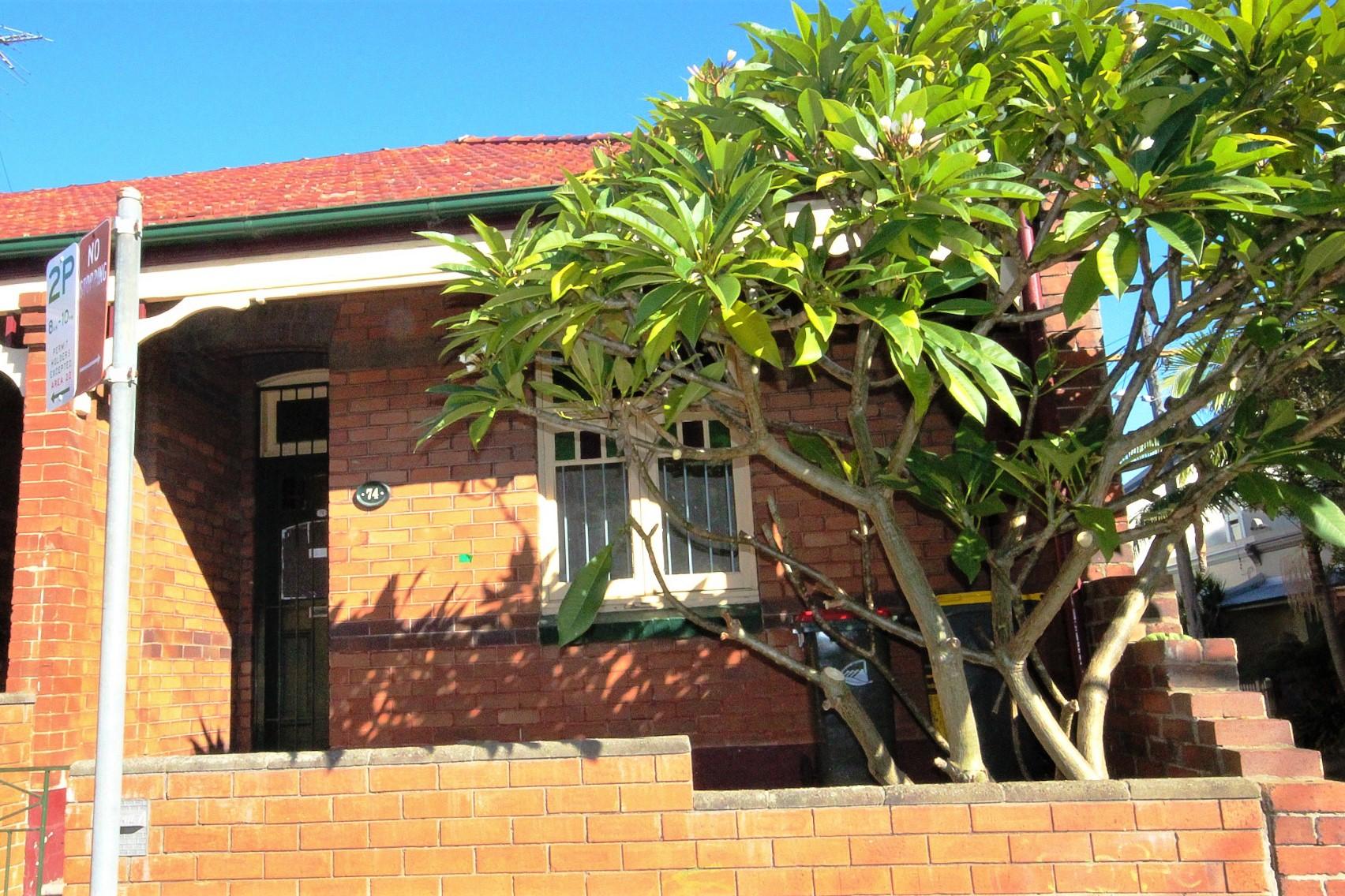 Slide Image