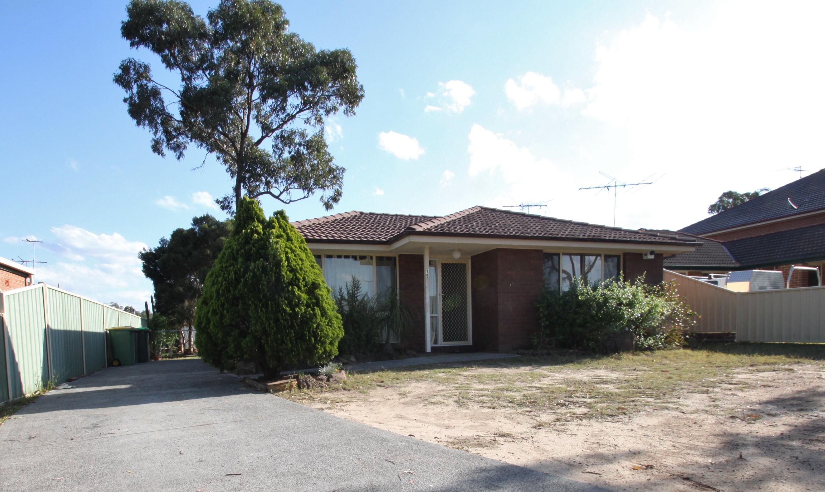 Slide Image